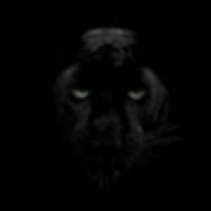 Meet your Posher, Ron